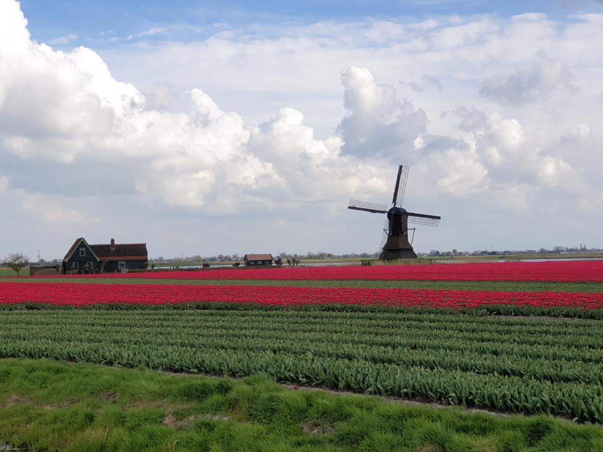 Вилла De Heerlijkheid Hensbroek Экстерьер фото