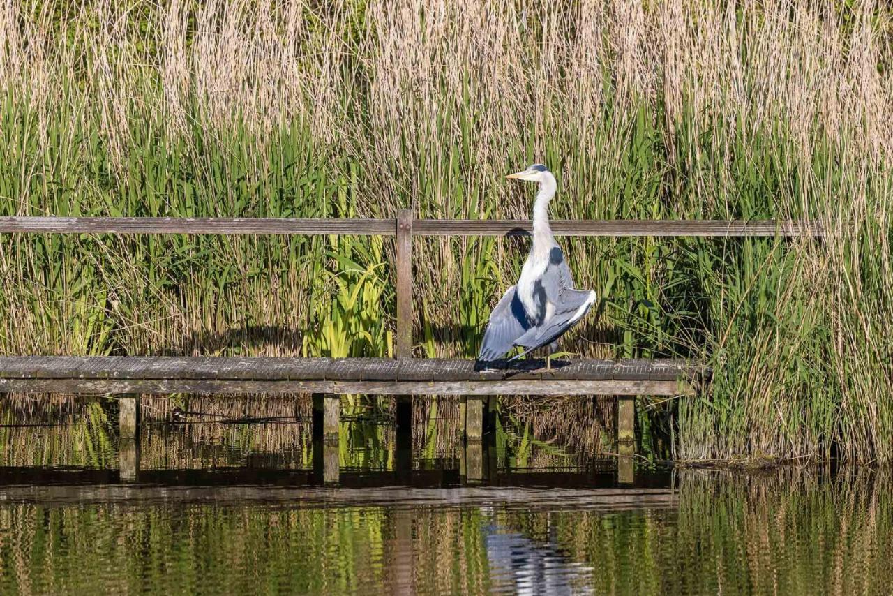 Вилла De Heerlijkheid Hensbroek Экстерьер фото