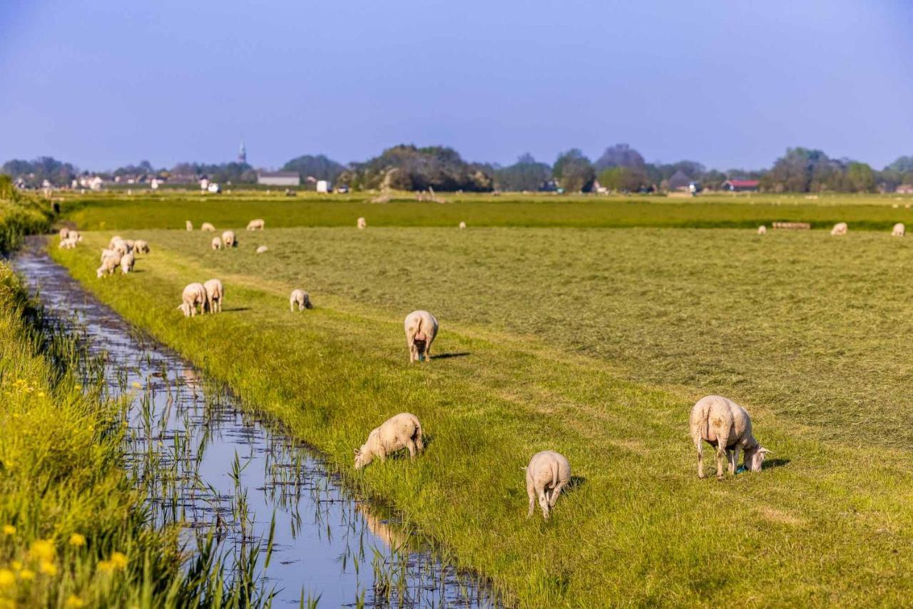 Вилла De Heerlijkheid Hensbroek Экстерьер фото